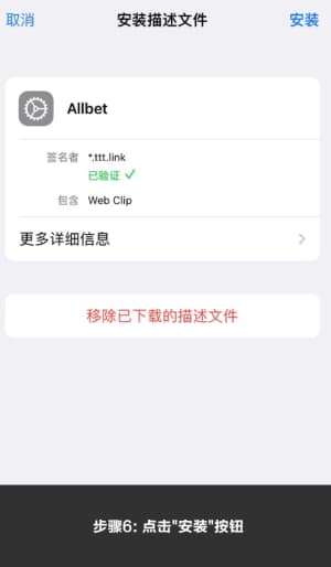 欧博ABG iOS客户端安装全流程图｜从下载到配置的完整视觉指南6